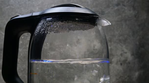 Água de ver com bolhas ferve em chaleira elétrica de vidro transparente no fundo escuro. Close-up. — Vídeo de Stock
