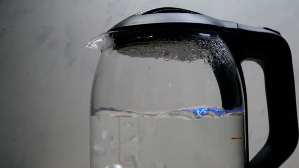 Siedendes Wasser mit Blasen kocht in einem Wasserkocher aus transparentem Glas auf hellem Hintergrund. Nahaufnahme. — Stockvideo