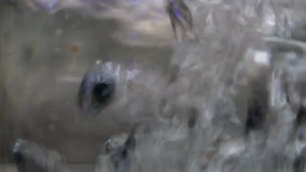 Forró víz buborékokkal felforr átlátszó üveg elektromos vízforralóban, könnyű háttérrel. Közelkép — Stock videók