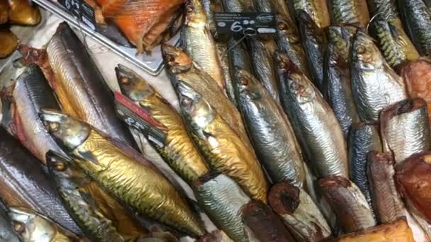Winkel venster van de vis sectie in de vismarkt. Verscheidenheid van kwaliteit gerookte vis met prijstabel. Teller met lekkere zeevruchten te koop. Close-up. — Stockvideo