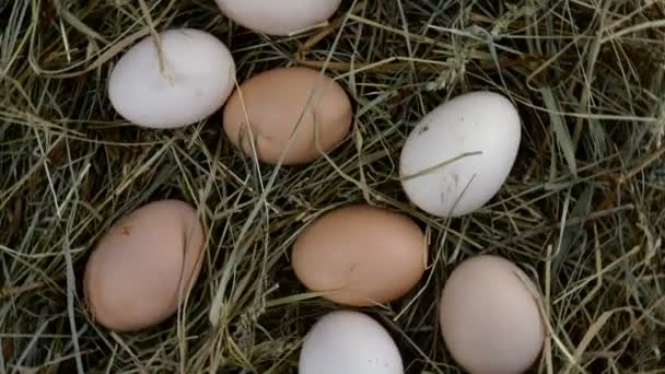 Az organikus friss nyers csirketojások szénában hevernek, és az óramutató járásával megegyező irányban forognak. Közelkép. — Stock videók