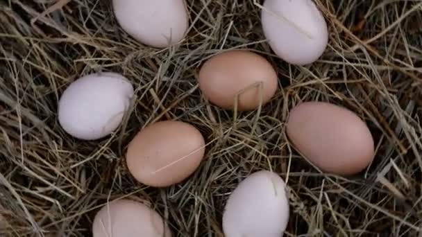 Las manos humanas toman huevos de pollo crudos frescos orgánicos, que se encuentran en el heno y giran en el sentido de las agujas del reloj en círculo. En cámara lenta. Primer plano. — Vídeo de stock