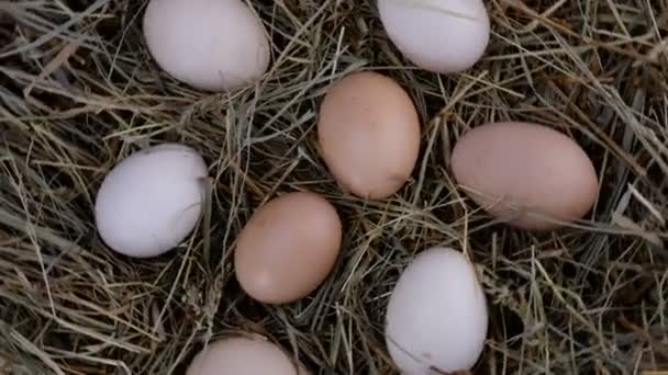 Ludzkie ręce biorą organiczne świeże surowe jaja kurze, które leżą w sianie i obracają się zgodnie z ruchem wskazówek zegara. — Wideo stockowe