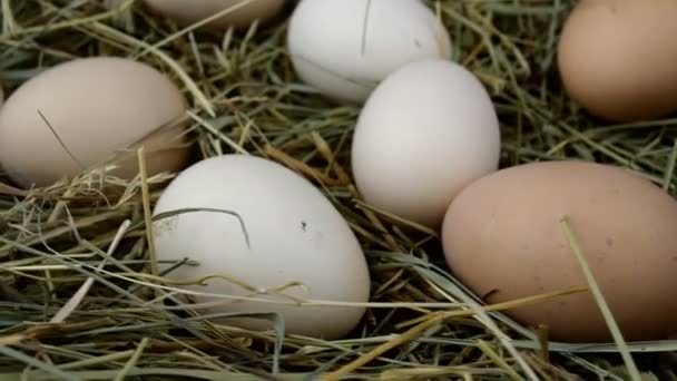 Organiczne świeże surowe jaja kurze leżą w sianie i obracają się zgodnie z ruchem wskazówek zegara w kółko. Zwolnij trochę. Zbliżenie. — Wideo stockowe