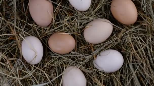 Ludzkie ręce biorą organiczne świeże surowe jaja kurze, które leżą w sianie i obracają się zgodnie z ruchem wskazówek zegara w kółko. Zwolnij trochę. Zbliżenie. — Wideo stockowe