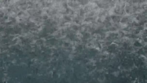 Gotas frecuentes de agua de lluvia o fuentes caen sobre la superficie de agua limpia en el río, estanque o piscina con salpicaduras y burbujas durante el día. Primer plano. — Vídeo de stock