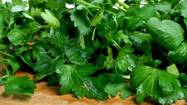 Large bunch of fresh green parsley lies on wooden cutting board in domestic kitchen. Dolly shot. Selective focus. — Stock Video