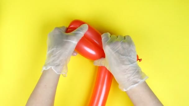 Hände in weißen Handschuhen machen aus einem langen roten Luftballon einen Spielhund, drehen eine Figur. Auf hellgelbem Hintergrund. Training oder Meisterkurs für Urlaub oder Party. Ansicht von oben. Nahaufnahme. — Stockvideo