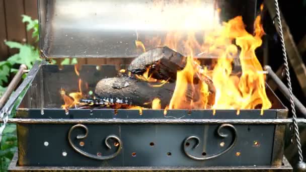 Ljus het eld på torra trästockar och kol från ved brinner i utomhus grill med gula tungor lågor och flammor. Värme från brinnande trä. Camping på helgen. Närbild. — Stockvideo