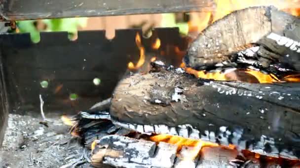Ljus het eld på torra trästockar och kol från ved brinner i utomhus grill med gula tungor lågor och flammor. Värme från brinnande trä. Camping på helgen. Närbild. — Stockvideo