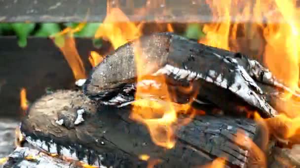 Helder warm vuur op droge houten stammen en steenkool van brandhout brandt in openlucht barbecue grill met gele tongen vlam en vuur. Warmte van brandend hout. Kamperen in het weekend. Close-up. — Stockvideo