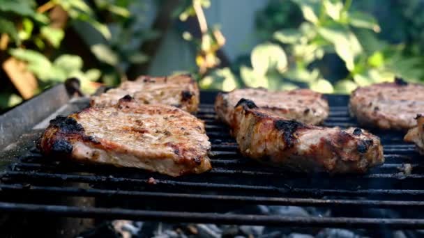 Frying juicy pieces of fresh pork neck steak meat prepared on grill or outdoor barbecue lattice on nature in backyard. Smoke on charcoal. Close-up. — Stock Video