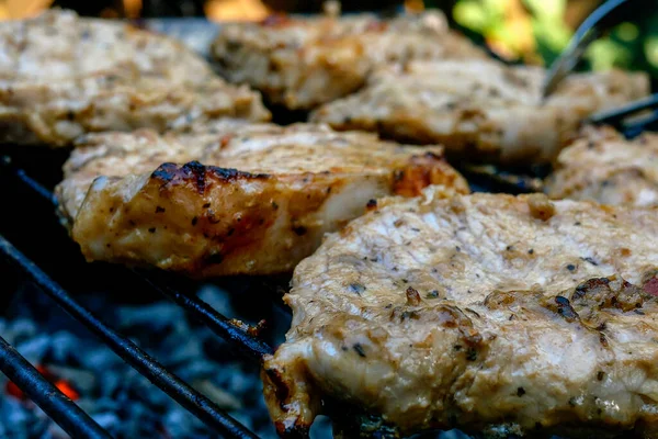 Friggere Succosi Pezzi Carne Fresca Manzo Maiale Preparata Griglia Reticolo — Foto Stock