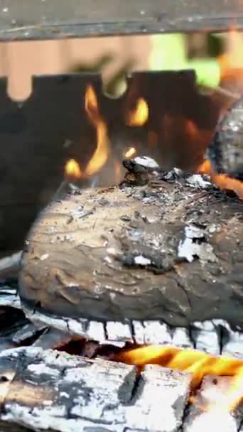 Fogo quente brilhante em troncos de madeira seca e carvão de queimaduras de lenha em churrasqueira ao ar livre com chamas e chamas de línguas amarelas. Calor de lenha queimada. Vídeo vertical. — Vídeo de Stock