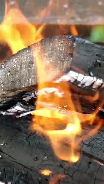 Fogo quente brilhante em troncos de madeira seca e carvão de queimaduras de lenha em churrasqueira ao ar livre com chamas e chamas de línguas amarelas. Calor de lenha queimada. Vídeo vertical. — Vídeo de Stock