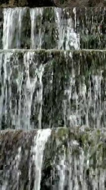 Güzel parkta güçlü akıntıları olan küçük bir şelale. Seçici odaklanma. Dikey video. Yakın plan..