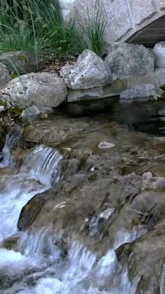 Mały wodospad z silnymi prądami płynącymi w pięknym parku. Wybiórcze skupienie. Pionowe wideo. Zbliżenie. — Wideo stockowe