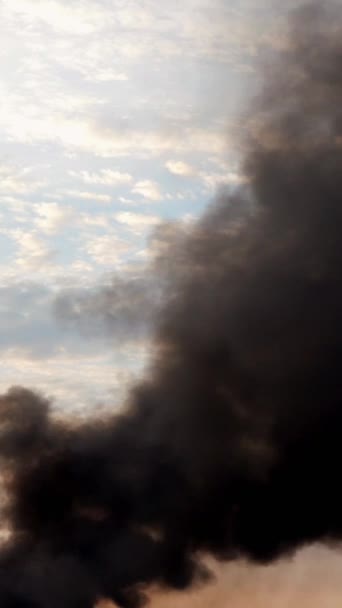 Columna de humo negro en el cielo. Fuego, quema escombros agrícolas, tubería de fábrica o explosión. El humo arremolina y es arrastrado por el viento. Contra el atardecer y las nubes. Formato vertical. Primer plano. — Vídeo de stock