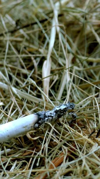 Hay ignites from throw cigarette butt and burns in flame and smoke. Concept of fire safety violation rule or careless handling with fire. Close-up. Vertical format. — 图库视频影像