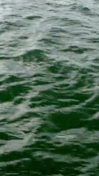 Ola de mar tranquila con ondulaciones que corren en el mar Negro. Reflejo solar. Fondo marino natural. Formato vertical. — Vídeo de stock
