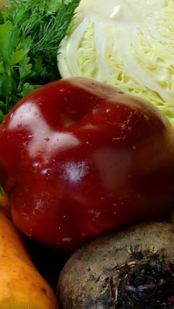 Varias verduras crudas para hacer sopa de verduras, borscht o una comida vegetariana saludable. Así como eneldo, perejil y otras hierbas culinarias. Concepto de alimentación saludable. Formato vertical. — Vídeo de stock