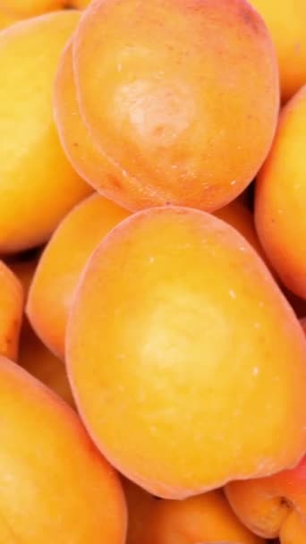 Showcase met verse zoete abrikozen op de Street Market. Een close-up. Vruchten van de winkel. — Stockvideo