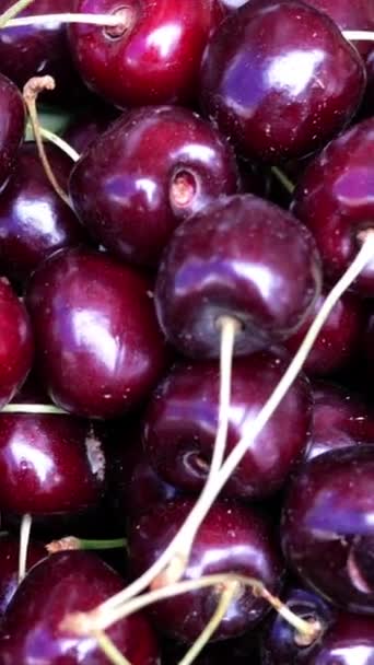 Showcase with Fresh sweet cherries on the Street Market. Fruits of the store. Spontaneous market in the street in the city. Farm market.on the Street Market. Vertical video. — Stock Video