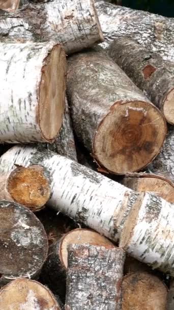 Pile of cut birch logs of different cross-sections are piled up on backyard or warehouse as preparation for heating season to heat home. Vertical video. Close-up. — Stock Video