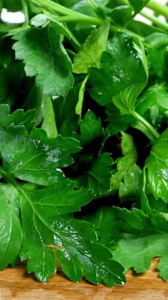 Large bunch of fresh green parsley lies on wooden cutting board in domestic kitchen. Dolly shot. Vertical video. Selective focus. — Stock Video