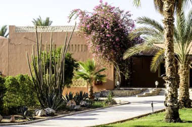 Mısır'daki Park otel.