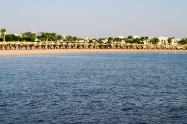 Plaj ve palmiye ağaçları, şemsiye, evler, gökyüzü. Mısır.