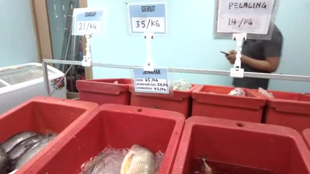 Prezzi del pesce in mostra con i clienti in giro al Freshmart il negozio del mercato del pesce. — Video Stock