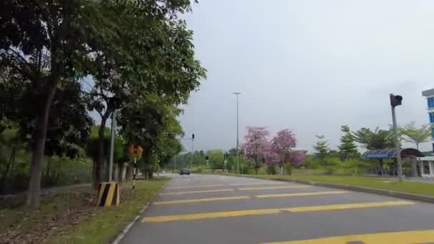 Bangi, Malaysia - March 21, 2021 POV motorcycle on the road during Tacoma flowers season on the road side. — Vídeos de Stock