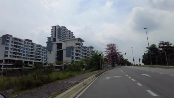 POV motorcykel på vägen stannar vid den stora Tacoma träd med blommande blommor på vägen sidan. — Stockvideo