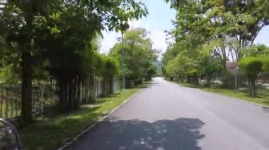 Güneşli bir günde Tacoma çiçek ağaçlarından motosikletle geçmek. POV.