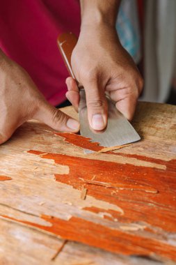 Eski masa temizleme sözcüsünün elinde skapele, egzotik ahşap talaş tahtası talaşı var.