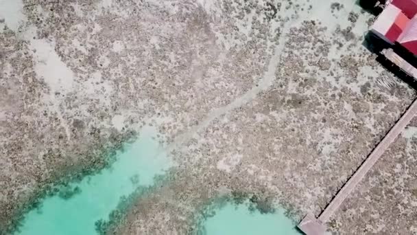 Uitzicht Vanuit Lucht Waterchalet Resort Omringd Door Koraalriffen Semporna Sabah — Stockvideo