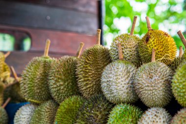 Malezya 'daki Fruit Stall' da yakın çekim durian..