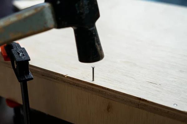 Holzbearbeitung Feines Laubholz Gebrauchsfertig Ein Nagel Und Ein Hammer Auf — Stockfoto