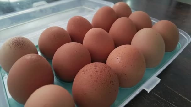 卵箱を開く新鮮な生の鶏の卵 スローモーション — ストック動画