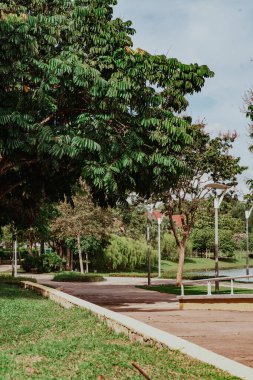 Öğleden sonra göl manzarası yakınında güzel ağaçlar ve çalılarla koşu pisti..