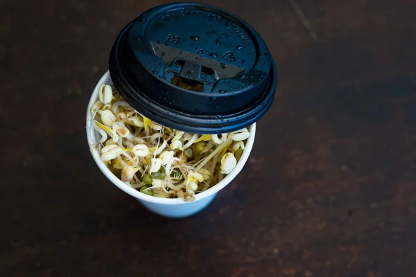 콩나물은 재활용 잔에서 자라는 알려져 있습니다 아시아 요리에 — 스톡 사진