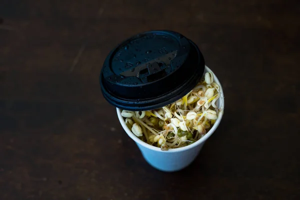 Bean Sprouts Also Known Mung Bean Taugeh Growing Recycled Coffee — Stock Photo, Image