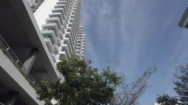 Güneşli bir günde modern dairenin altındaki ağacı esen rüzgar..