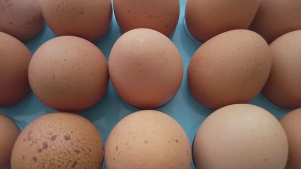 Huevos Gallina Crudos Frescos Movimiento Lento — Vídeo de stock