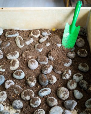 Tahta bir saksı kutusundaki taşları kaplayan.