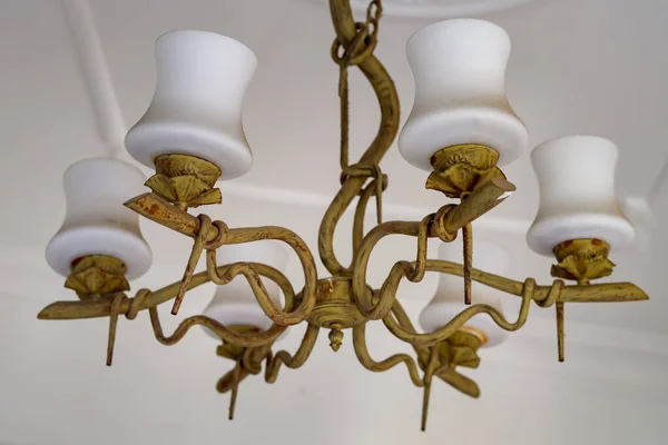 Lustre Bras Conçu Comme Des Racines Bois Suspendues Plafond — Photo