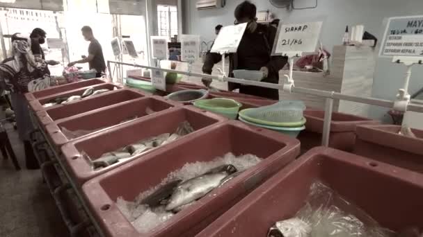 Bangi Malásia Março 2021 Clientes Ocupados Loja Fish Imagens Podem — Vídeo de Stock