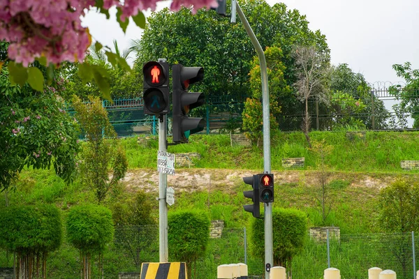Bangi Malajzia Március 2021 Közlekedési Lámpák Pole Piros Lámpákkal Gyalogos — Stock Fotó