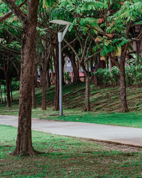 Piste Jogging Dans Parc Malaisie — Photo